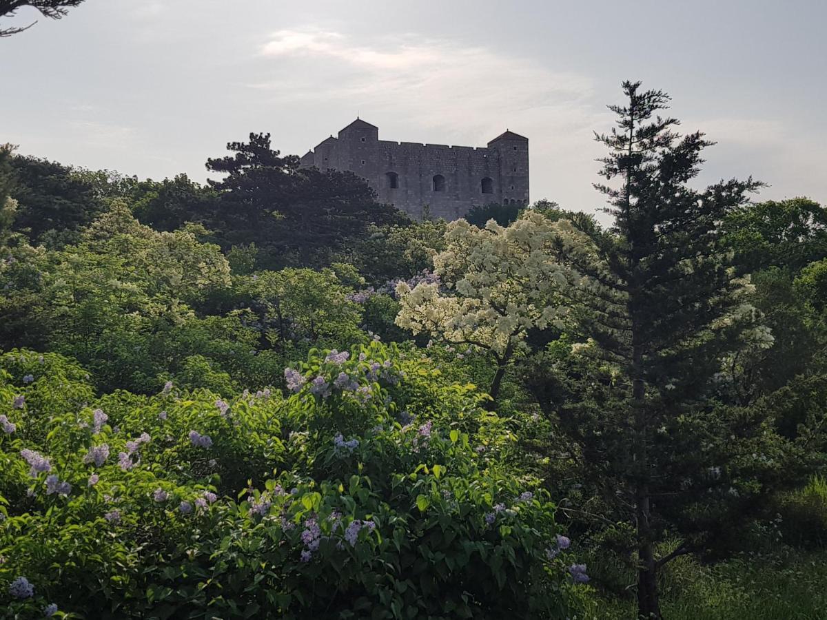Apartments Varga Senj  Εξωτερικό φωτογραφία