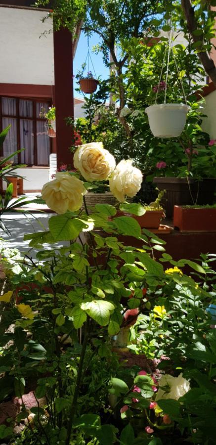 Apartments Varga Senj  Εξωτερικό φωτογραφία